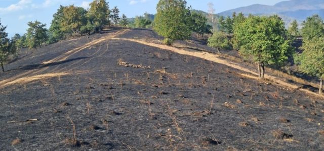 Pompierii arădeni au stins 8 incendii în ultimele 24 de ore