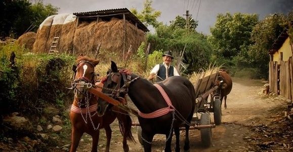 Lumea Satului Românesc: Un tablou fermecător al frumuseții rurale și agriculturii locale tradiționale